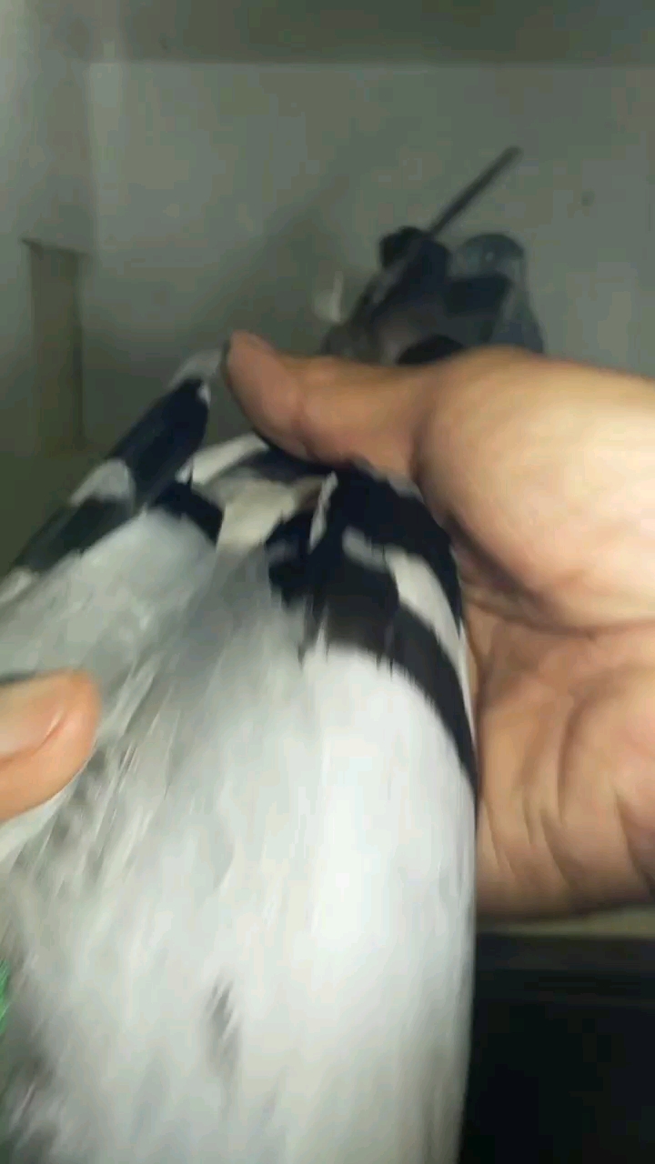 ����500����73����ѫ�ָ��������