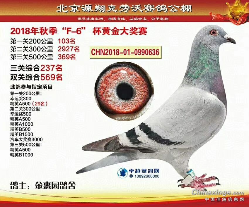利奥赫尔曼斯003