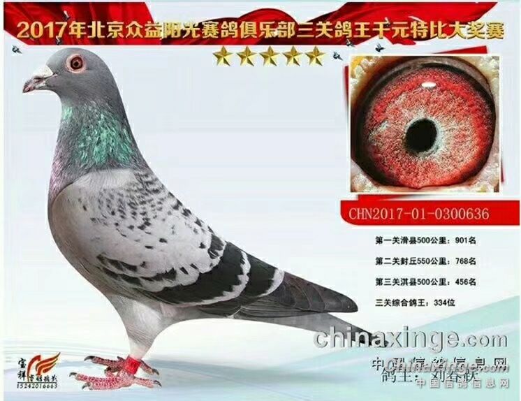 利奥赫尔曼斯003