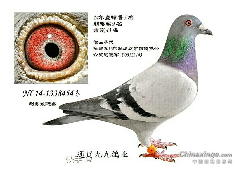 外祖母利奥原舍,登台亮相,想喷粪竹狗b可劲喷