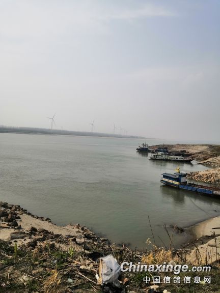 长江渡口风景如画